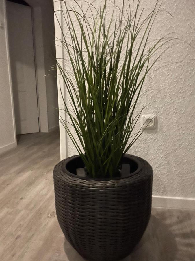 Haus Mariechen Apartment Hooksiel Luaran gambar